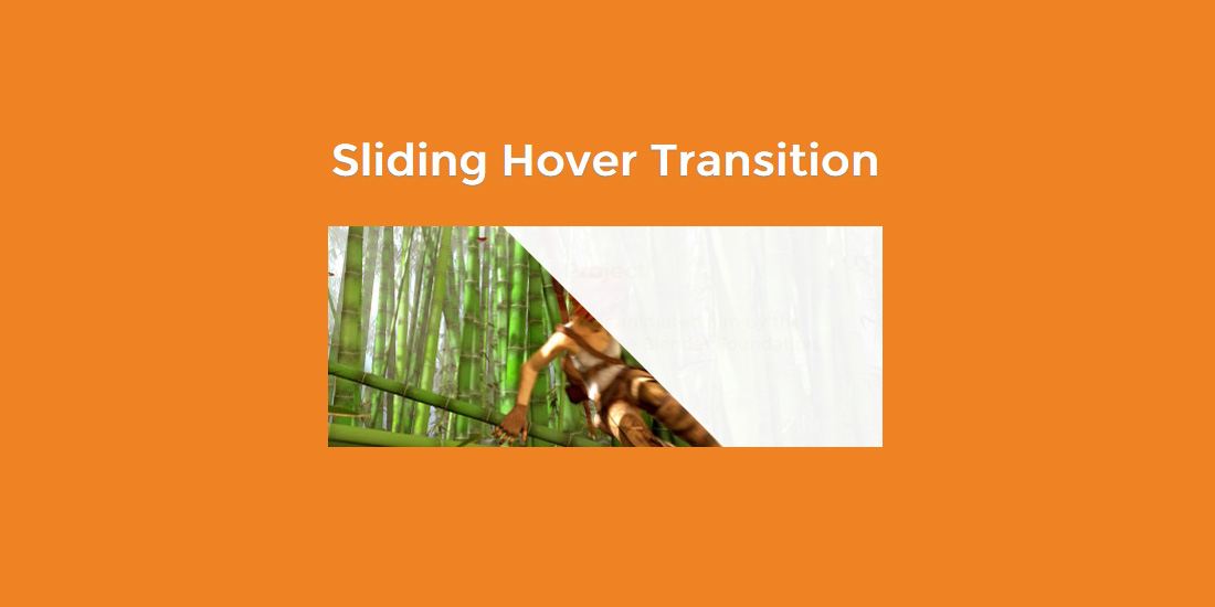 hover transition