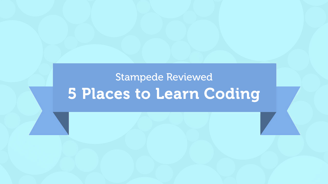 Stampede Reviewed: Five Places to Learn Coding